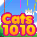 gatos 1010