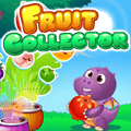 Recolector de frutas